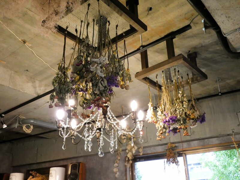 TEA ROOM flower bird（ティールーム フラワーバード）　ドライフラワー